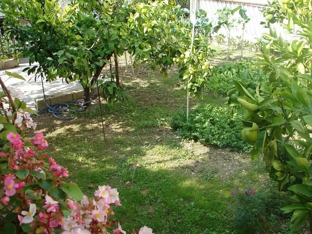 Zdravko - 150 m From Sandy Beach - SA2