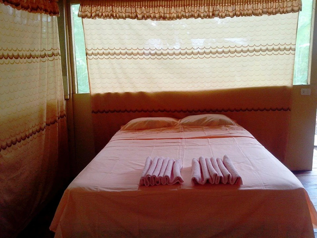 Amazon Eco Tours & Lodge
