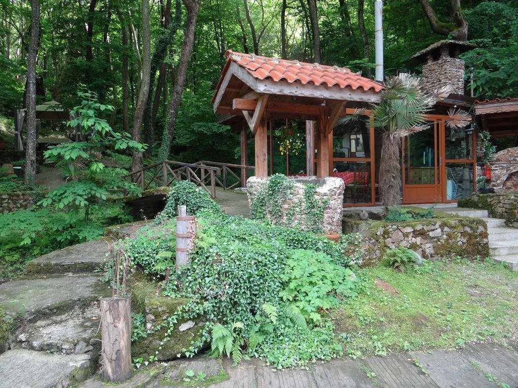 Hotel Saint Nedelya