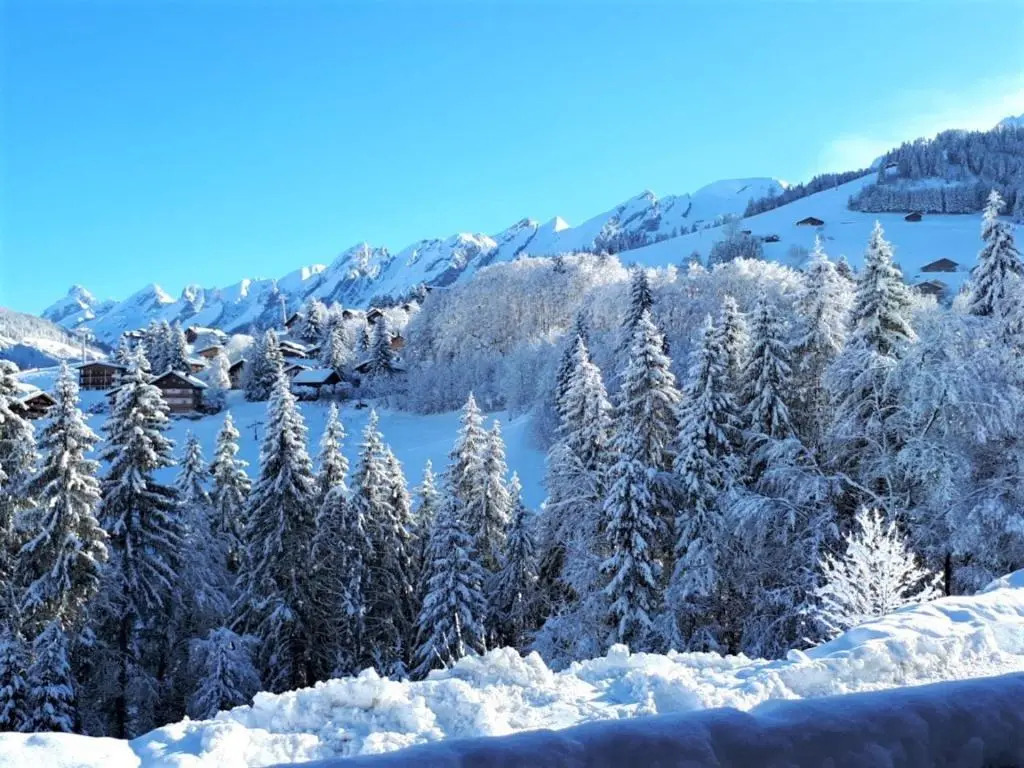 Appartement La Clusaz, 3 pièces, 6 personnes - FR-1-459-49