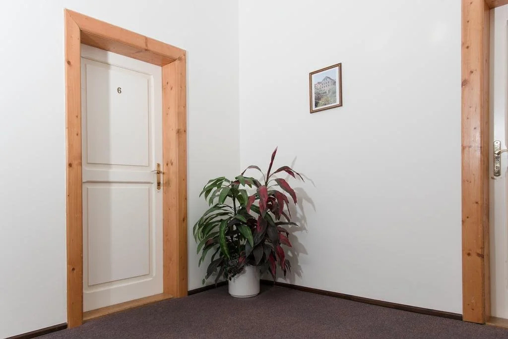 Hotel Celerin