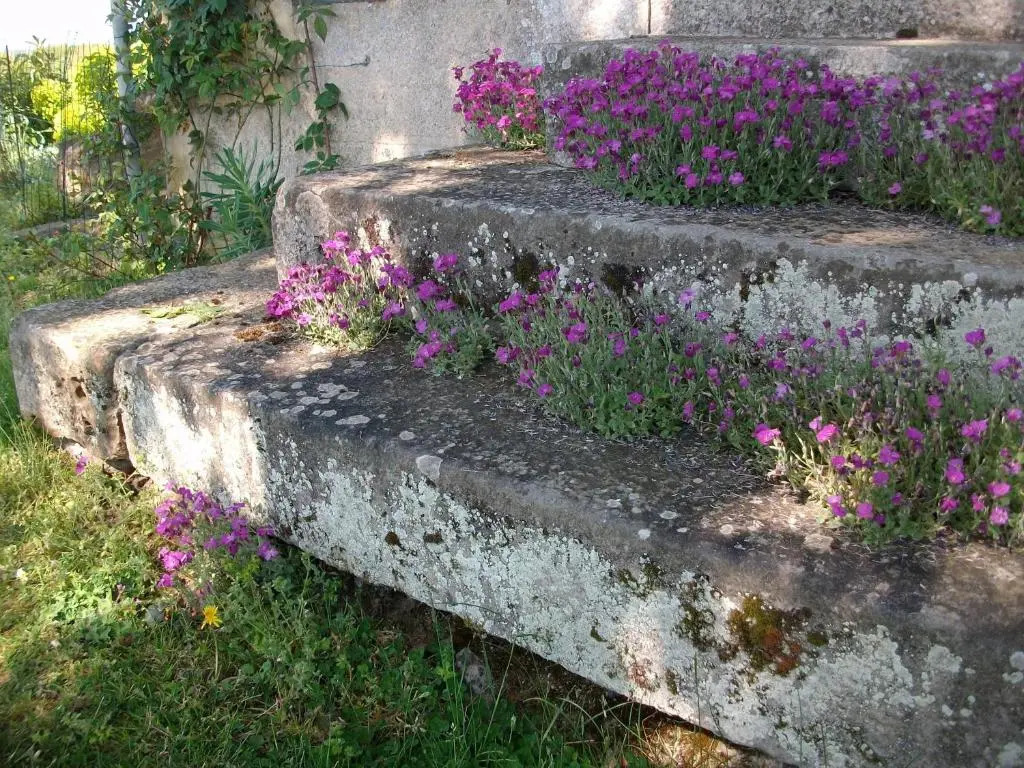 La Cochetière