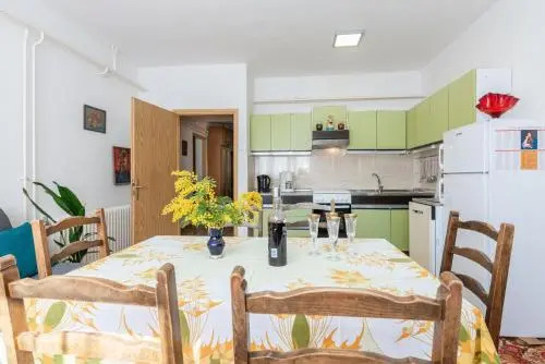 Apartment Vida