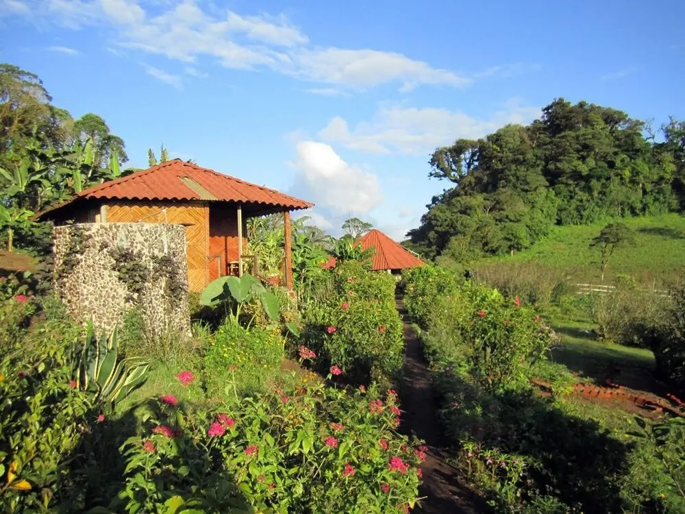 Finca Neblina del Bosque