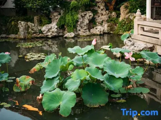 Rende Villa · Jiangnan Garden · Lakeview Resort (Taihu Eastern Hills Scenic Area)