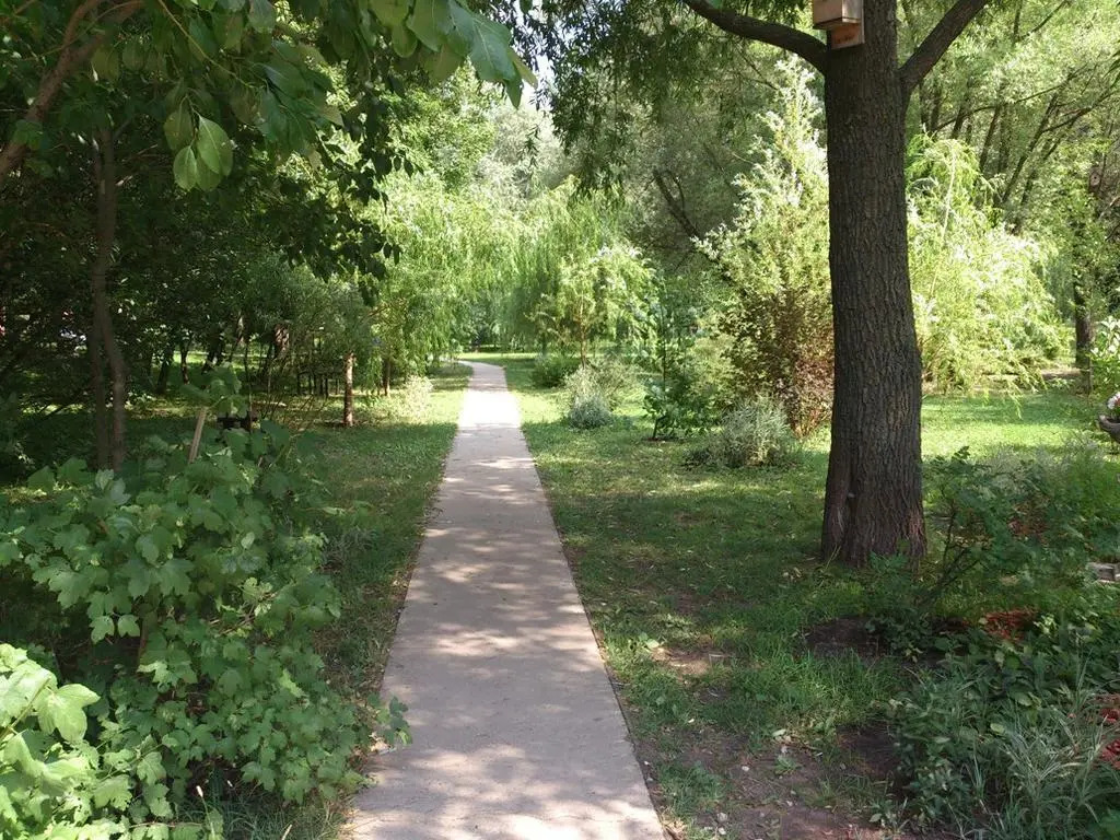 Корона Апартаменты