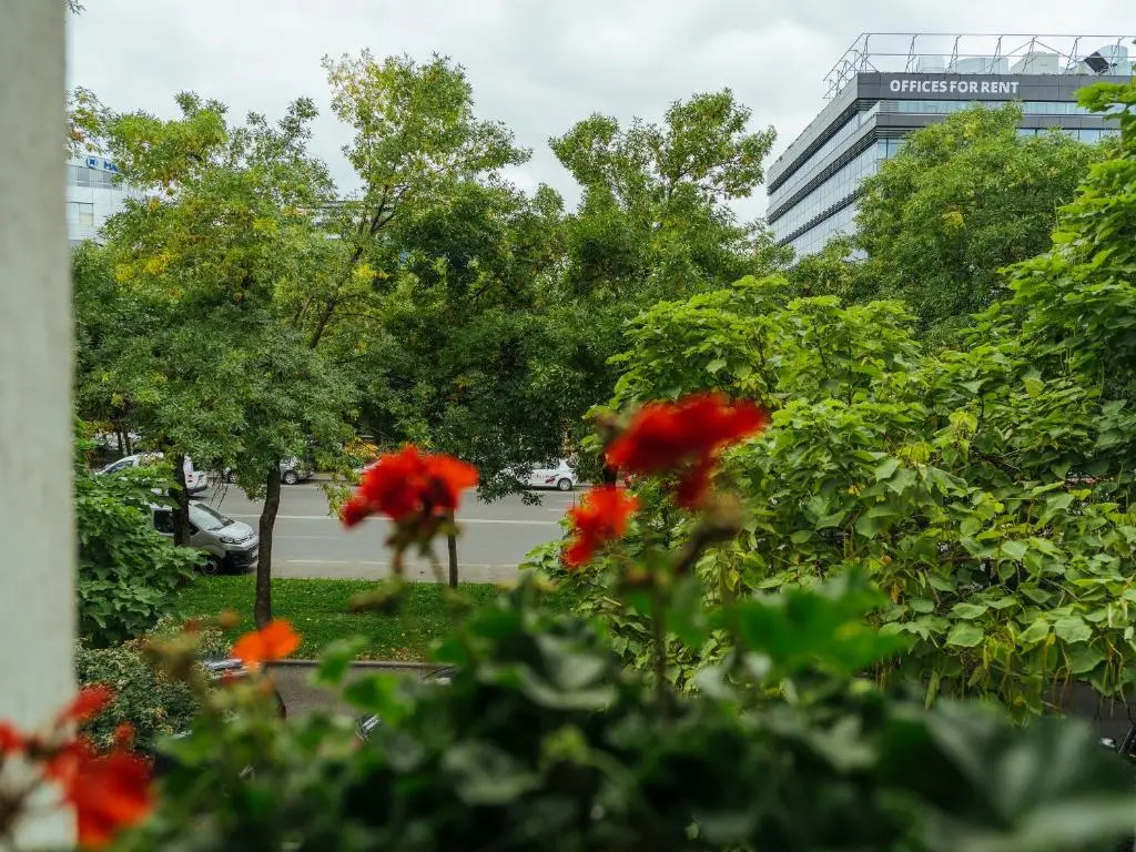 Herastrau Park Studio - Bucharest Business District - Arancia