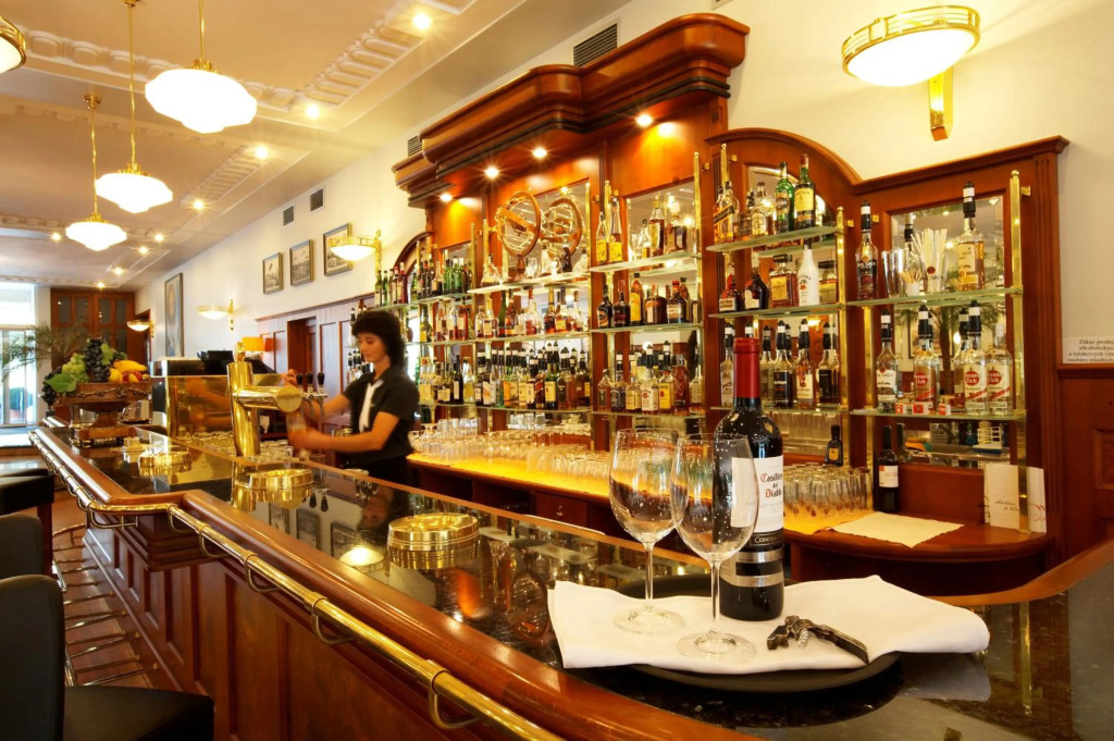 Hotel Avion