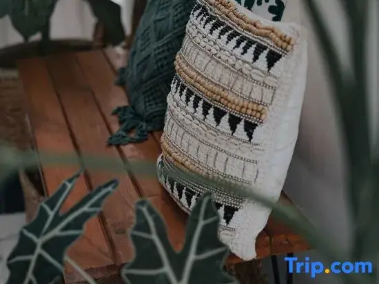 Omahe Malang Boho Urban Jungle Private House