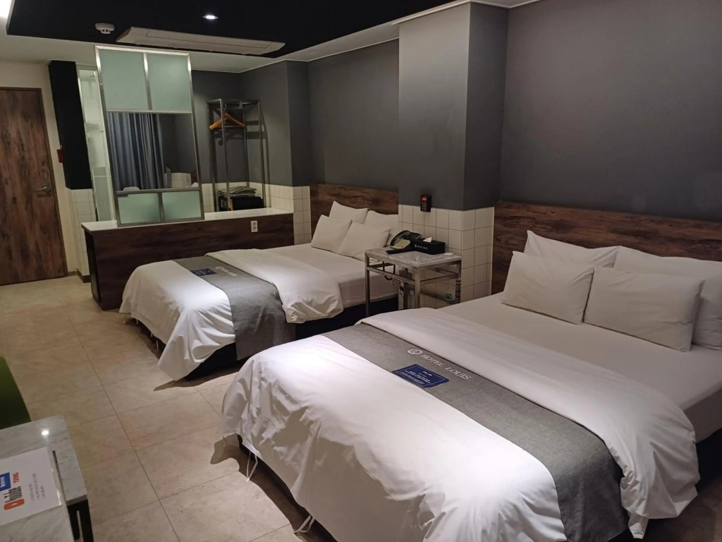 Louis Hotel