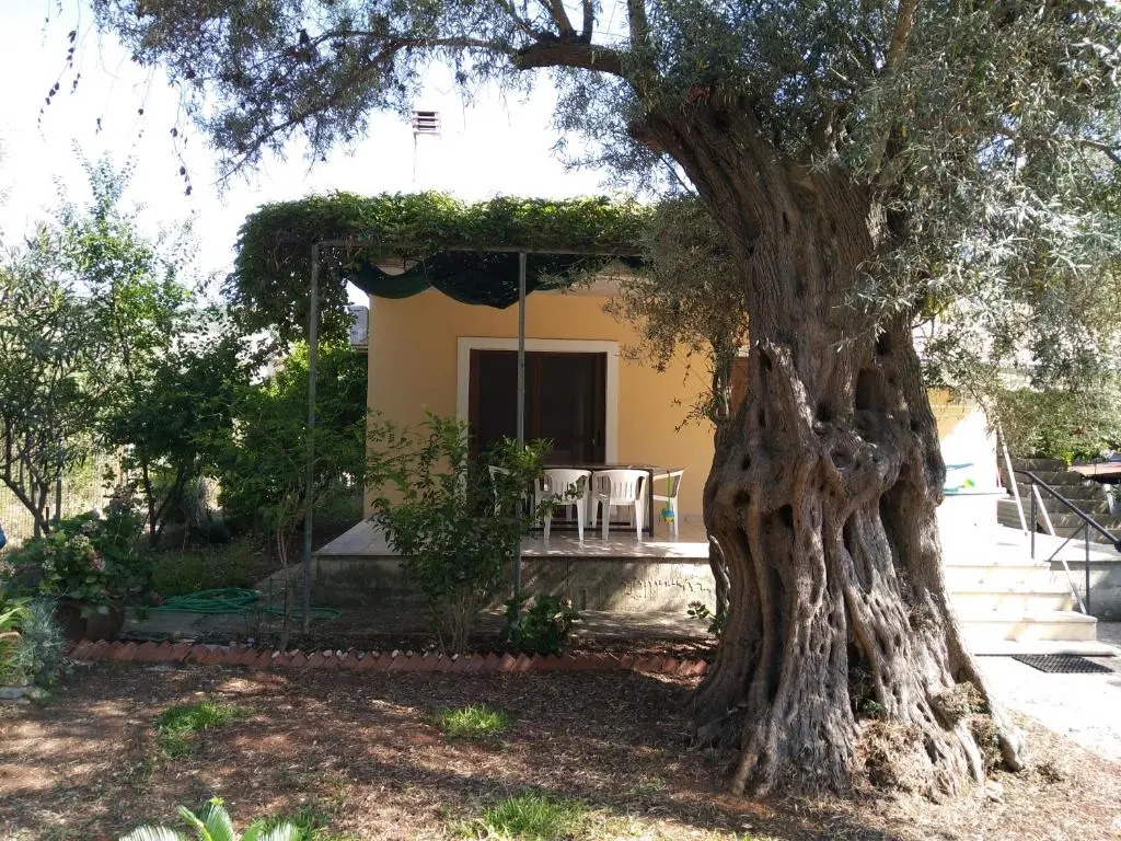 Lefkas house with garden