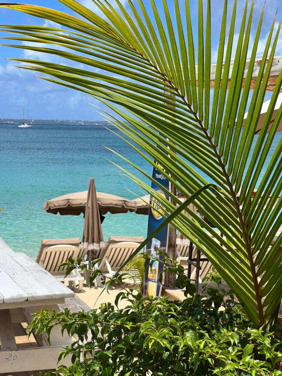 Studio pirate of the Caribbean on the beach