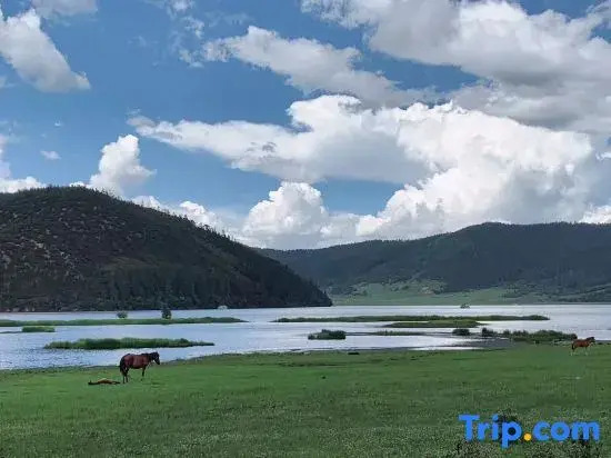 Kangba Yangkang Homestay in Shangri-La City
