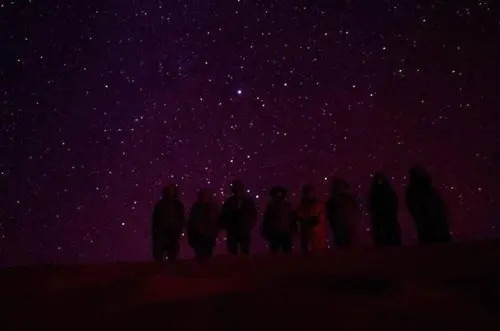 Sahara Camels Camp