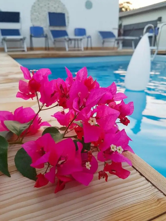 House With one Bedroom in Pompei, With Shared Pool, Terrace and Wifi Near the Beach