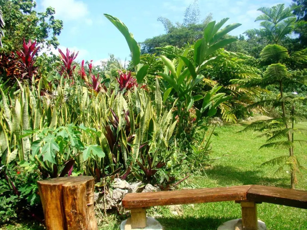 Les Cottages de Bellevue Ecolodge