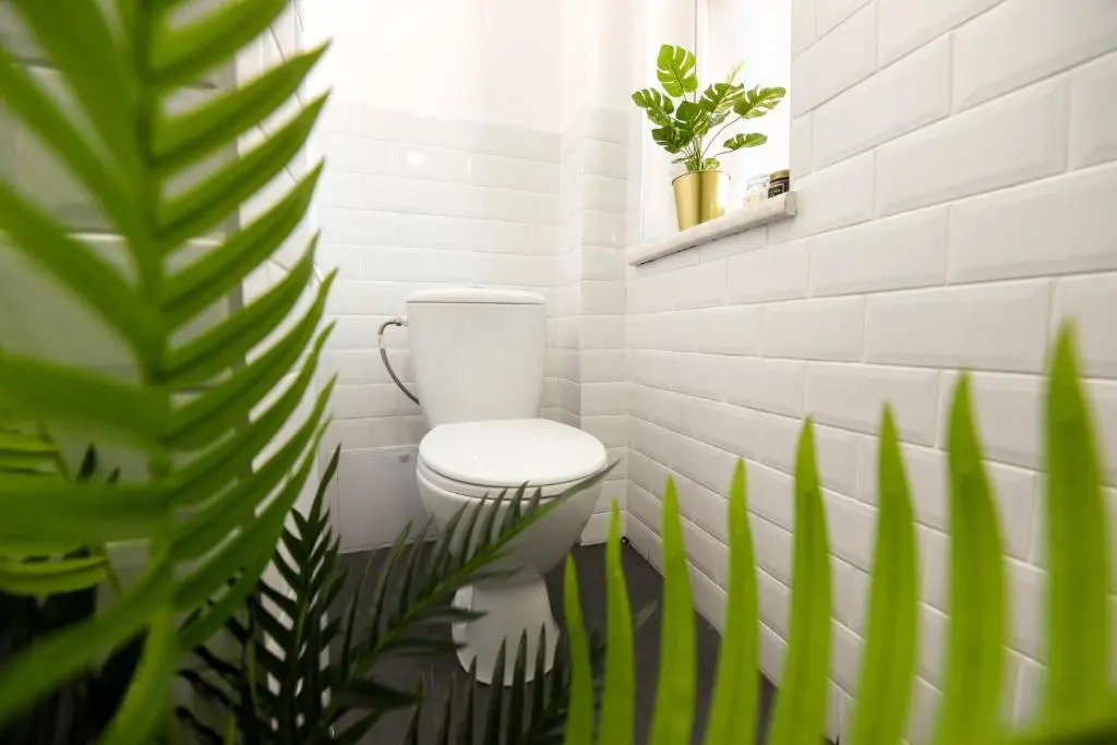 GOLDEN TOUCHES - Elegant - Armeneasca Central Apt