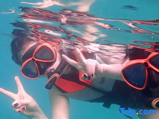 Weizhou Island Dudu's Banhai Homestay (Xijiao Wharf)