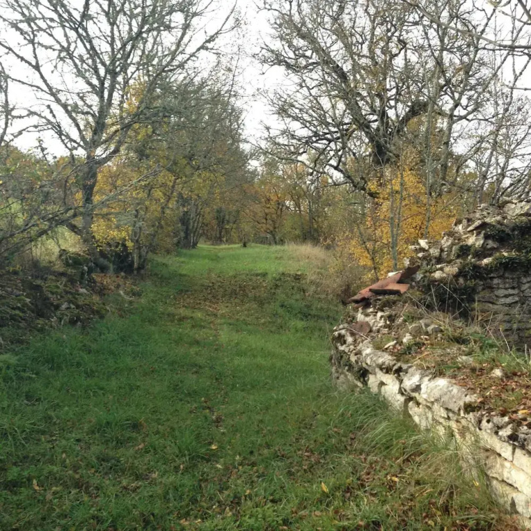 Le Domaine des Ramonets