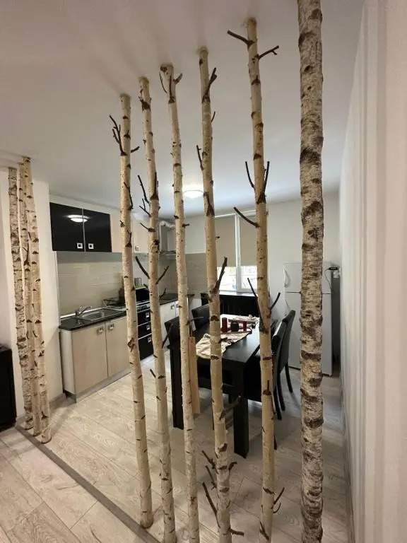 Scandinavia Apartament