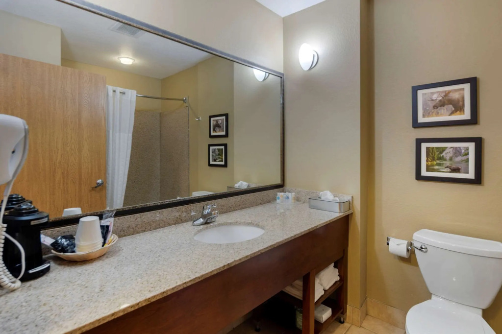 Comfort Suites Anchorage International Airport