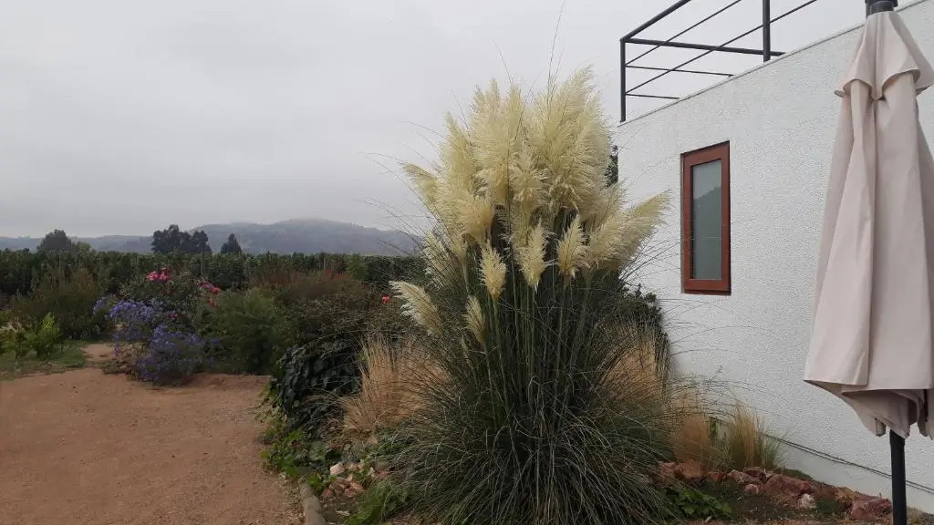 Callihue Lodge