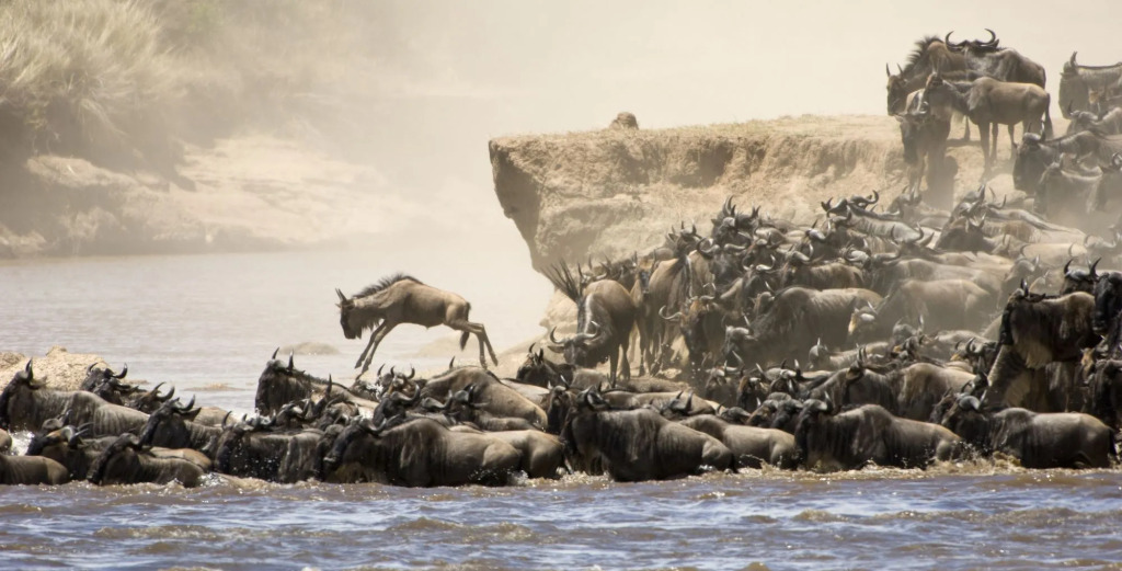 Basecamp Masai Mara