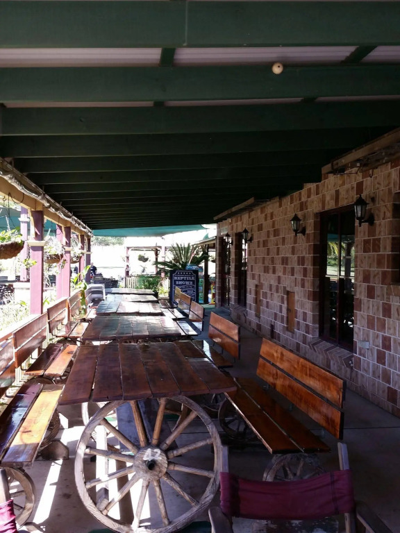 The Bearded Dragon Boutique Hotel