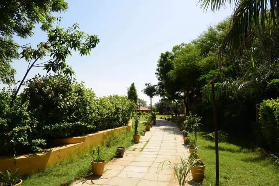 The Venation Camps & Resort