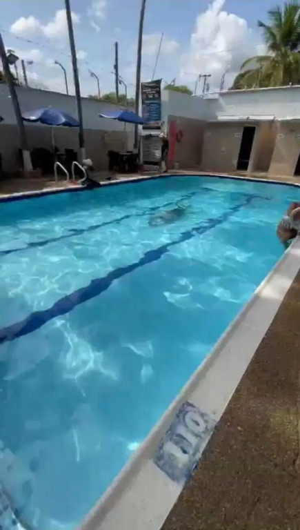 Club de afiliados Circulo Dorado Vip