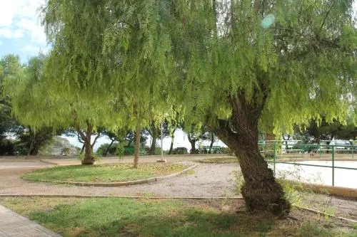 Sainvi 7 7d