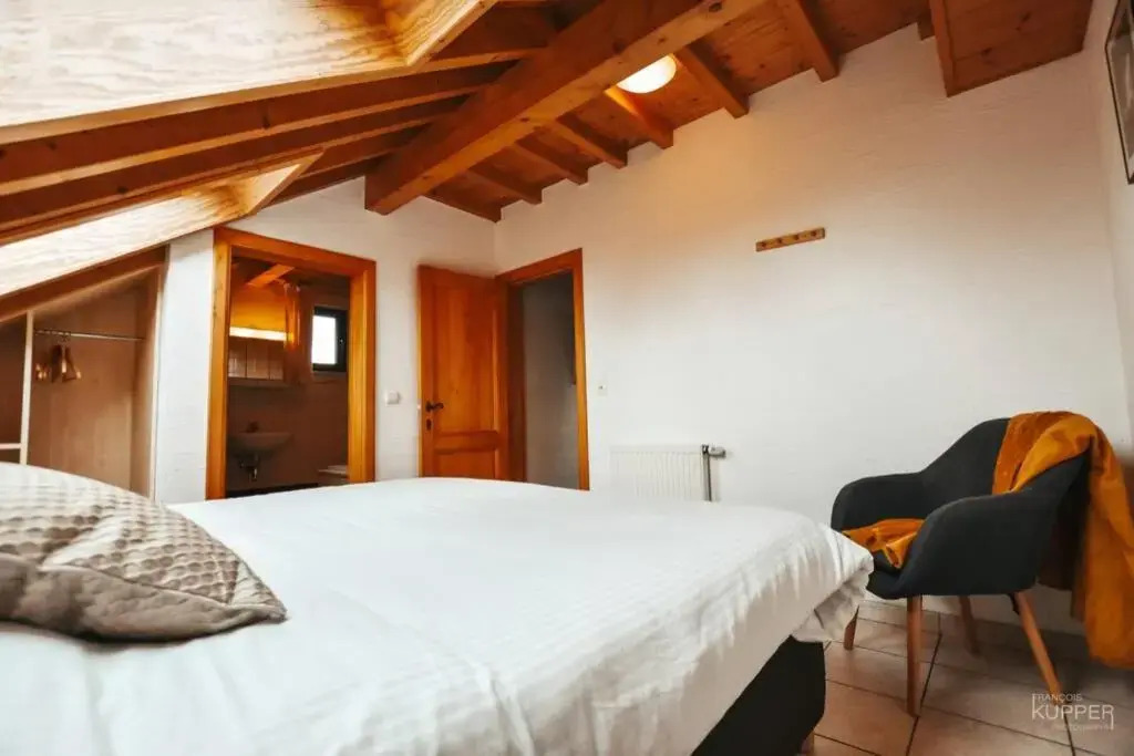 Le Héron 28pers, Malmedy- Home cinéma, balnéo, sauna, jardin