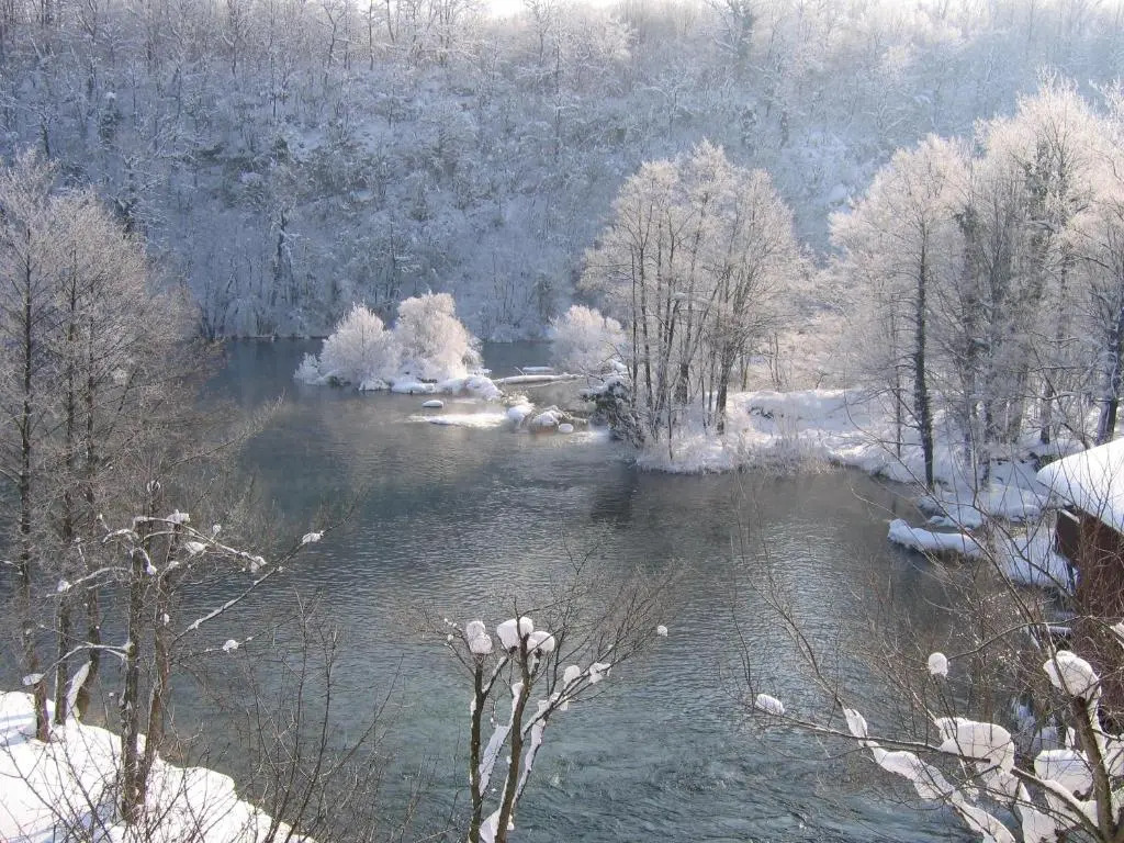 Bed & Breakfast Zeleni Kut
