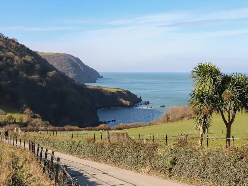 Lynmouth View