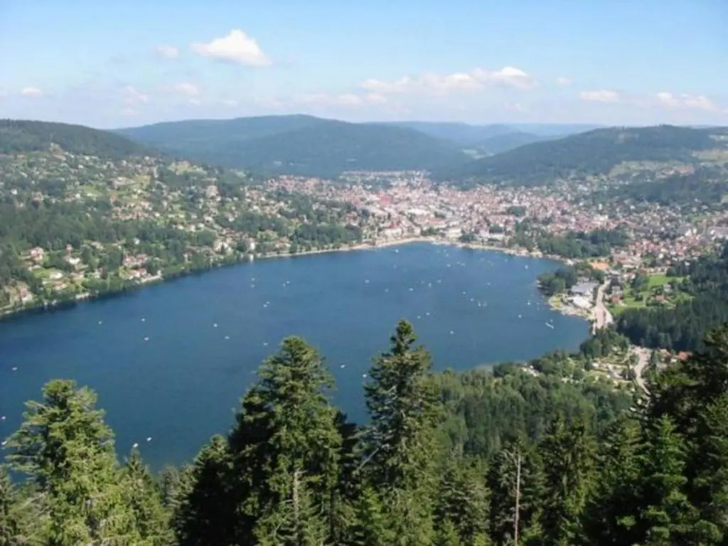 Gîte à Gérardmer - Proche lac et pistes, Chem cheminée, 2 chambres - FR-1-589-108