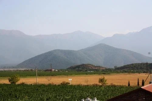 Shaloshvili's Cellar Hotel