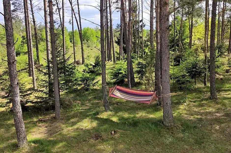 EKOLANDIA Domek na wynajem