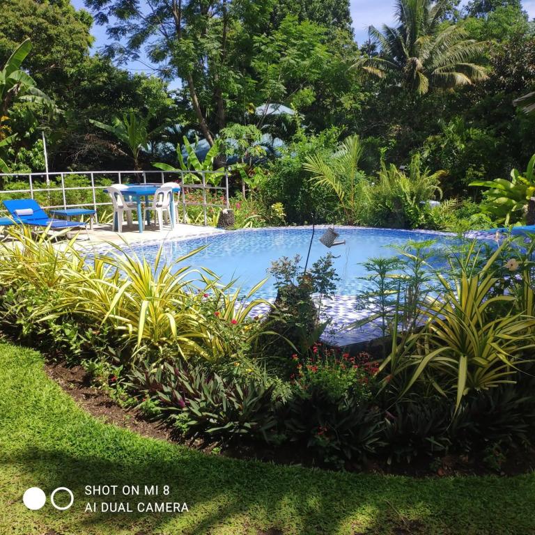 Sun House Rental