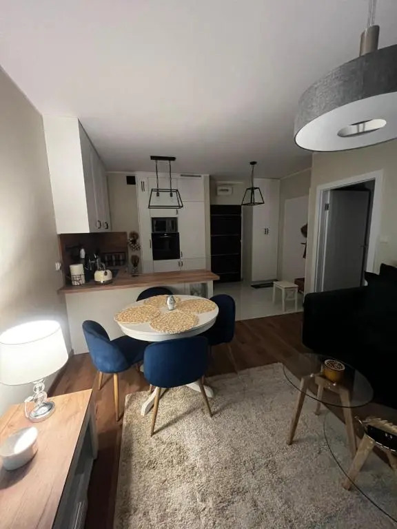 Apartament Sadowa 87