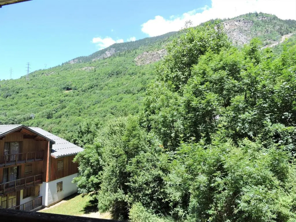 Hameau 3 002 - SPA & PISCINE appartement 4 pers