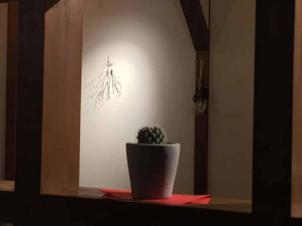 KINOSAKI KNOT