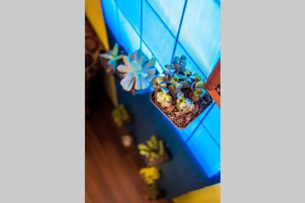Nice full apartment, downtown on foot