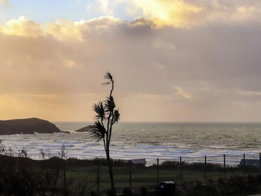 5 Fistral Waves