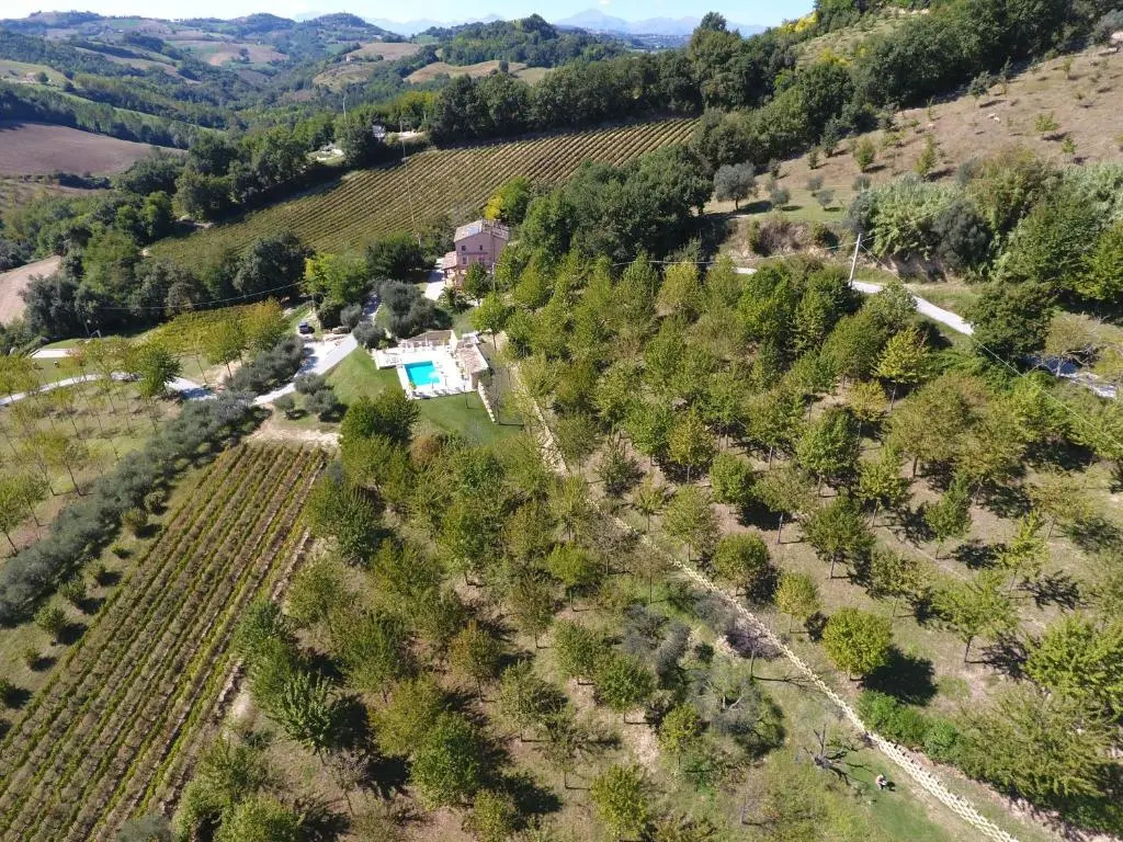 Casa Sacciofa