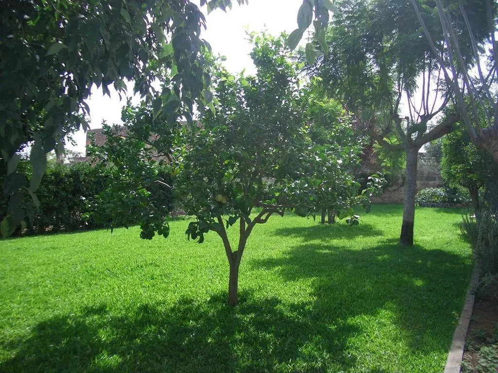 Sa Bòveda