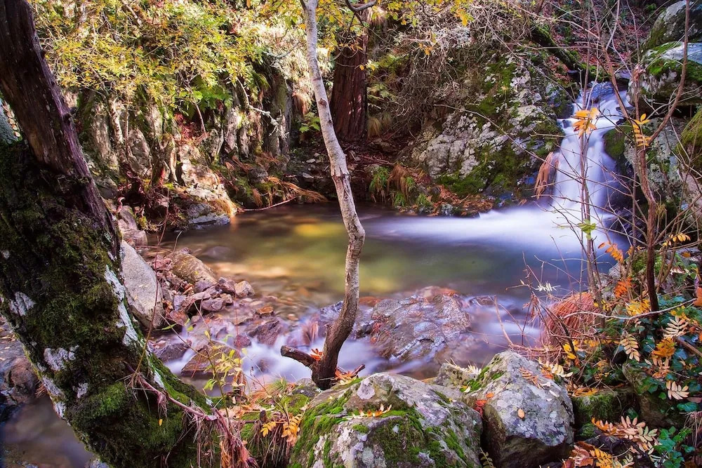 Fonte D Rosa - Belmonte