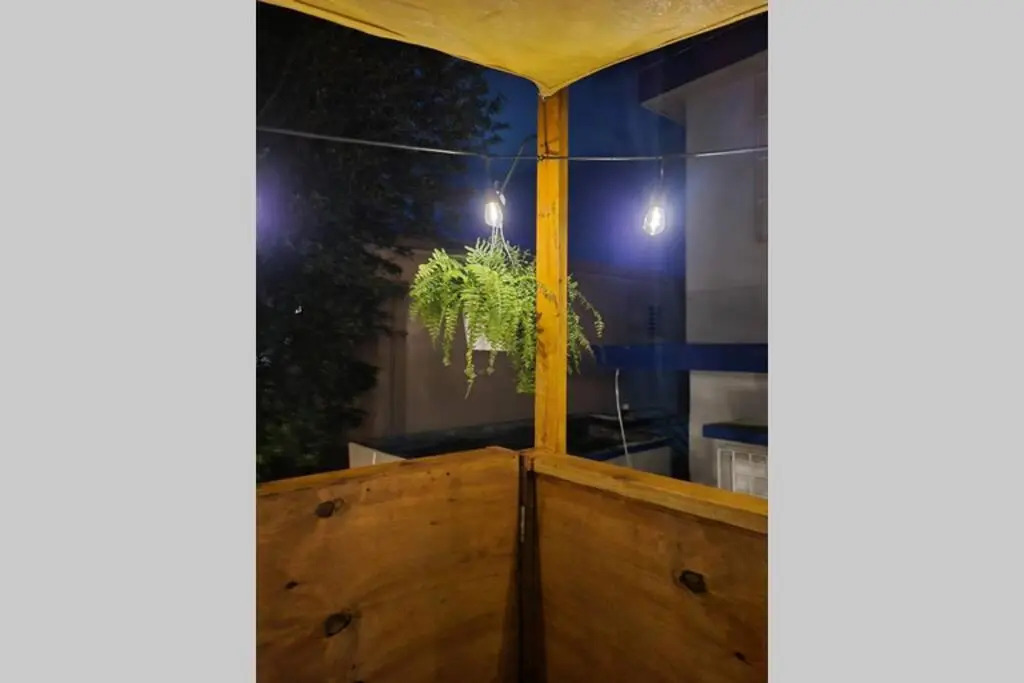 Relaxing Tropical Studio