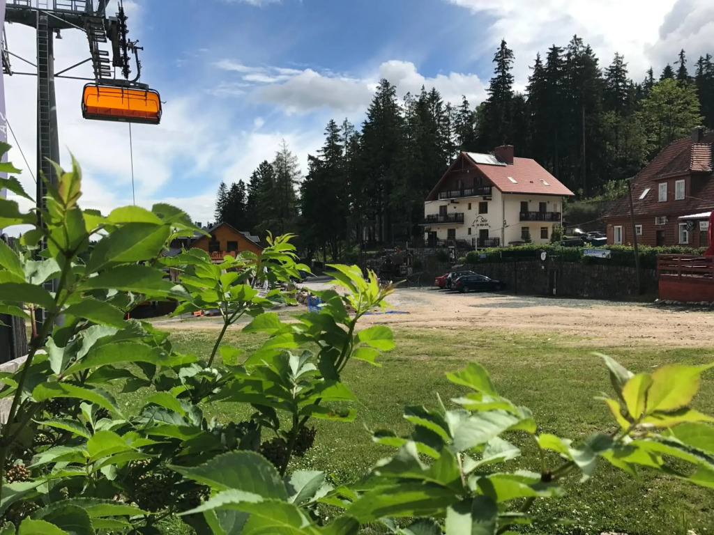 Safir przy samym WYCIĄGU
