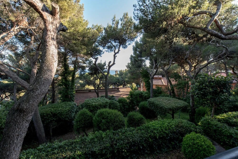 Sinfonia Toscana: Natura e Arte