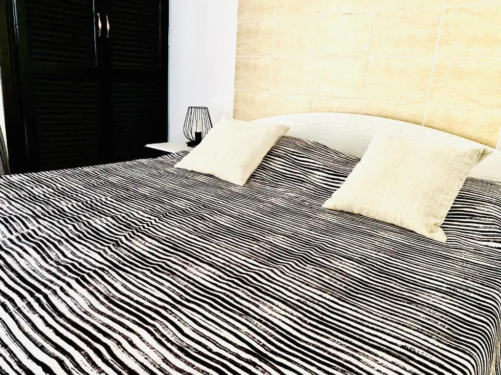Zebra House Hurghada center